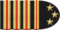 HOD / Professional Technician