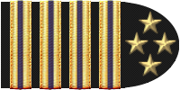 Chief Flight Instructor