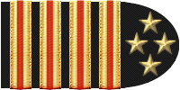 Chief Technician