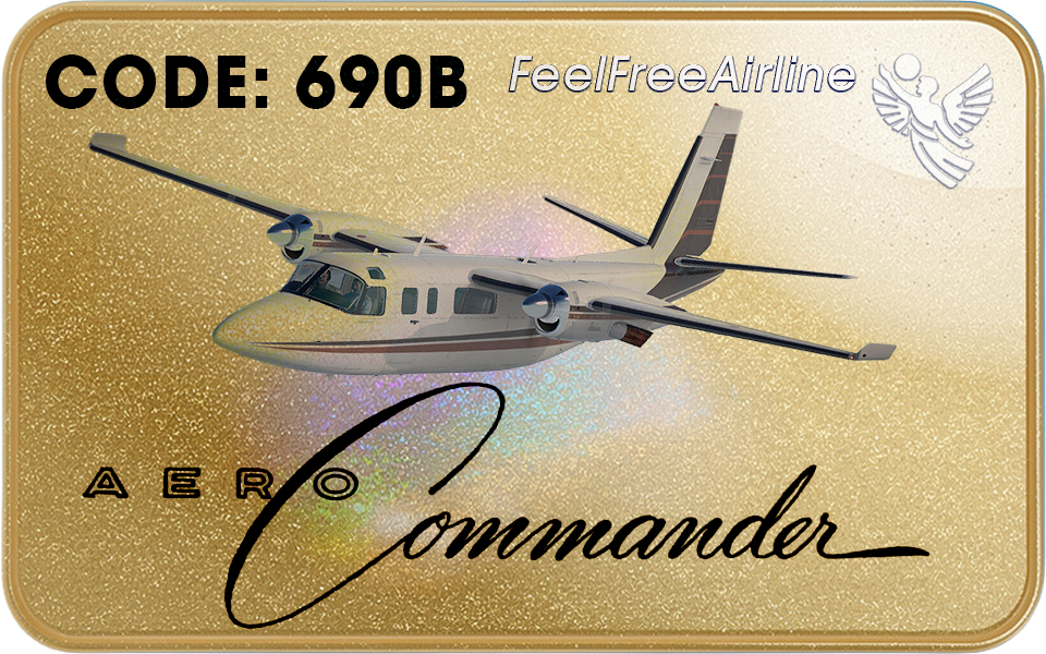 Berechtigte Muster: Turbo Commander 690B