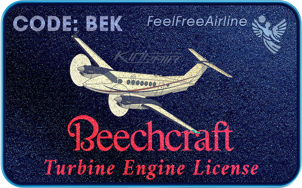 Berechtigte Muster: King Air 90/100 Serie • Super King Air Serie • B99/1900 Serie • B2000 Starship • Bonanza B36TC (Turbine) • Model 60 Duke (Turbine)