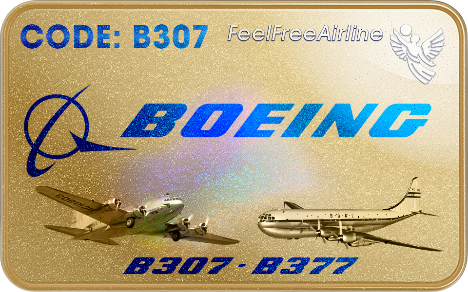 Berechtigte Muster: B307 • 377