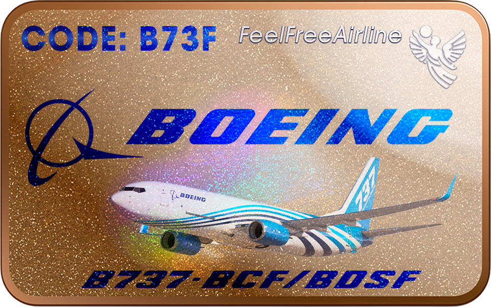 Berechtigte Muster: B737-800 BCF • B737-800 BDSF • B737-700 BDSF • B737-300F • B737-400F