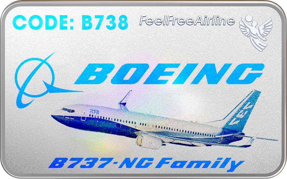 Berechtigte Muster: B737-600NG • B737-700NG • B737-800NG • B737-900NG • B737-BBJ