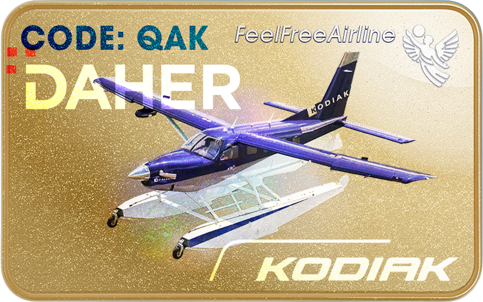Berechtigte Muster: Kodiak 100 Series III • Kodiak 900