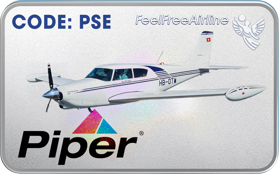 Berechtigte Muster: PA-24 • PA-28 • PA-32 • PA-46 • CubCrafters CC19 XCub