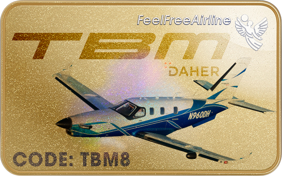 Berechtigte Muster: TBM 700 • TBM 850 • TBM 900 • TBM 910 • TBM 930 • TBM 960